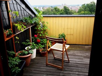 Flower pots at balcony of house