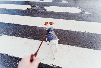 High angle view of child walking on road in city