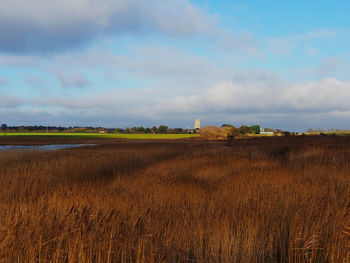 Scenic view of agricultural field against sky