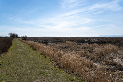 Scenic view of landscape against sky