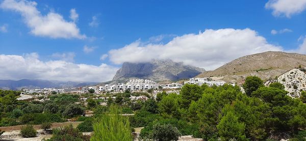 Panoramic view of trees and buildings against sky