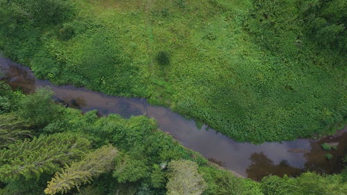 High angle view of stream