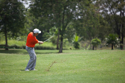 Rear view of person walking on grass