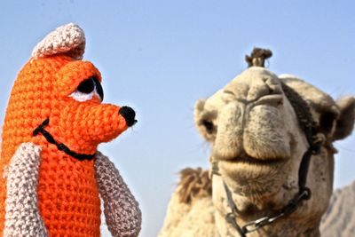 Close-up of orange woolen toy with camel against sky