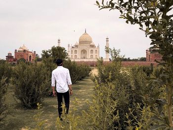 Rear view of man walking on temple