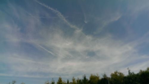 Low angle view of trees against cloudy sky