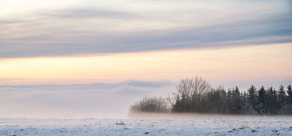 Landscape  snow, winter  germany, forest sunset, moselle valley, nature  snowfall, fog and trees
