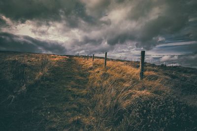 Field against sky