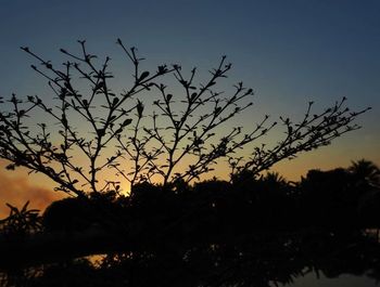 Low angle view of silhouette trees on field against sky at sunset