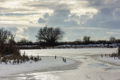 Bare trees on snow covered field against sky