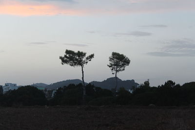 Silhouette trees on field against sky during sunset