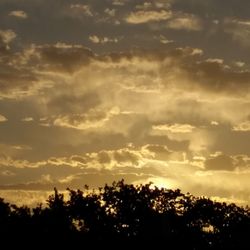 Silhouette trees against sky during sunset