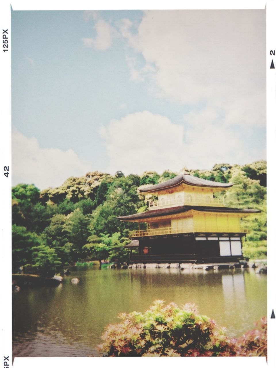 transfer print, architecture, built structure, building exterior, auto post production filter, tree, sky, house, water, cloud - sky, residential structure, cloud, plant, day, nature, growth, residential building, river, outdoors, beauty in nature