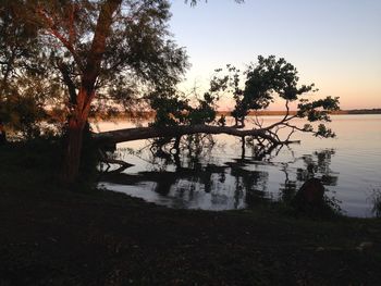 Fallen tree over river during sunset