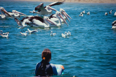 Rear view of woman with water birds swimming in sea