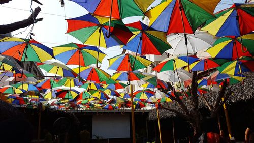 Multi colored umbrellas hanging