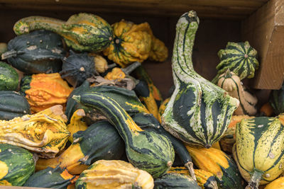 Close-up of pumpkins for sale at market stall