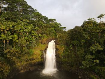 Scenic view of waterfall in forest against sky