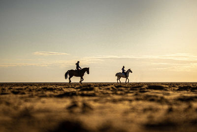 Side view of silhouette people riding horses on land against sky during sunset