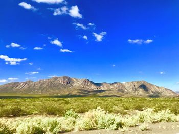 Scenic view of field against blue sky