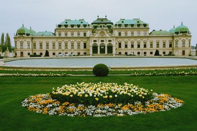 View of flowers in garden