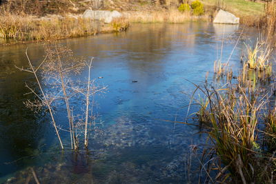 Scenic view of lake