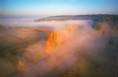 Scenic view of trees against sky