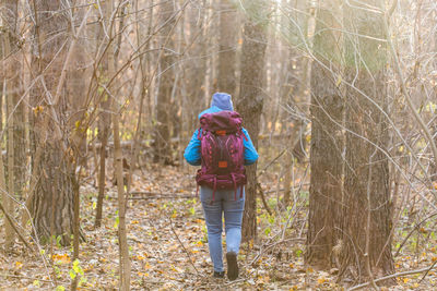 Rear view of man walking in forest