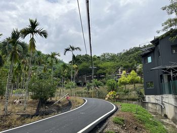 Road amidst trees against sky