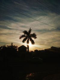 Silhouette trees against sky during sunset