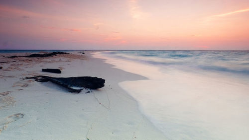 Scenic view of beach against sky during sunset