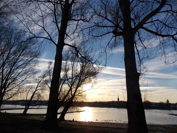 Bare trees by lake at sunset