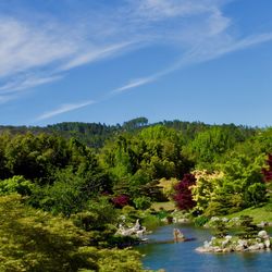 Scenic view of lake amidst trees in forest against sky