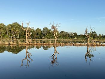 Scenic view of lake against clear blue sky