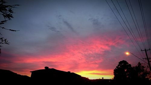 Silhouette of trees at sunset