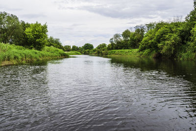 Green trees and water canal in the early morning.