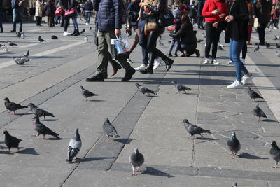 Group of people walking on footpath