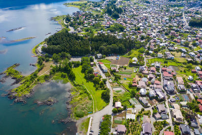 High angle view of trees and buildings in city