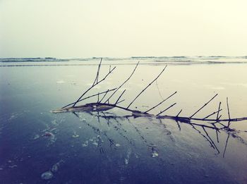 Reflection of bare tree on calm lake against sky