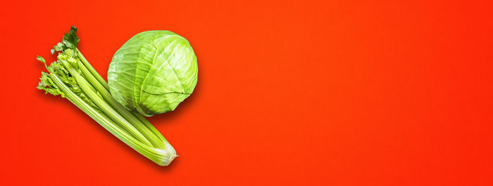 Close-up of green pepper against orange background