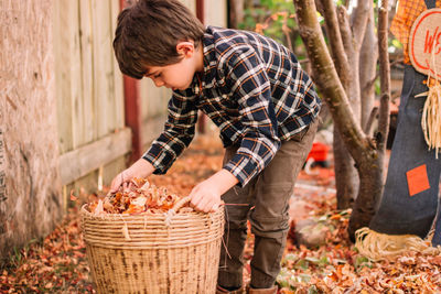 Young boy gathering leaves in a basket