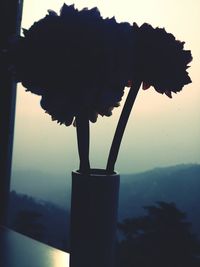 View of tree against sky