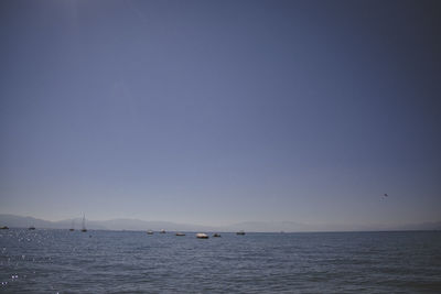 Sailboat sailing in sea against clear sky