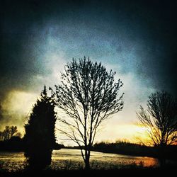 Silhouette of bare trees by lake at sunset