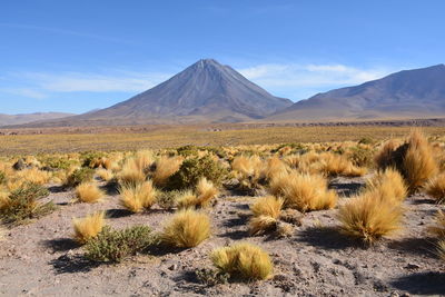 Scenic view of desert against sky