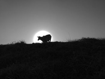 Silhouette dog on field against clear sky at sunset