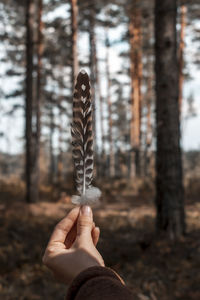 Midsection of person holding bird feather in forest