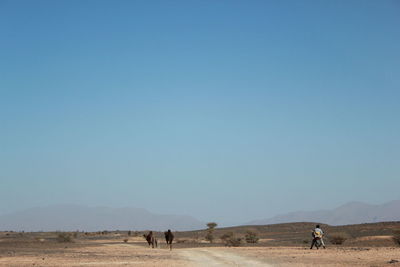 Scenic view of desert against clear blue sky