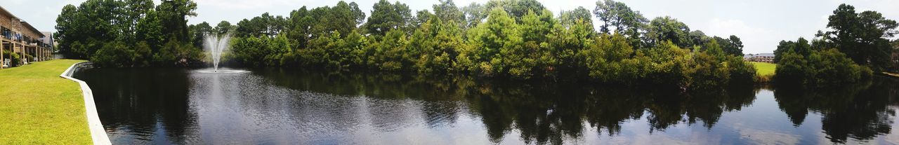 Reflection of trees in lake