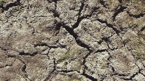 Full frame shot of cracked land